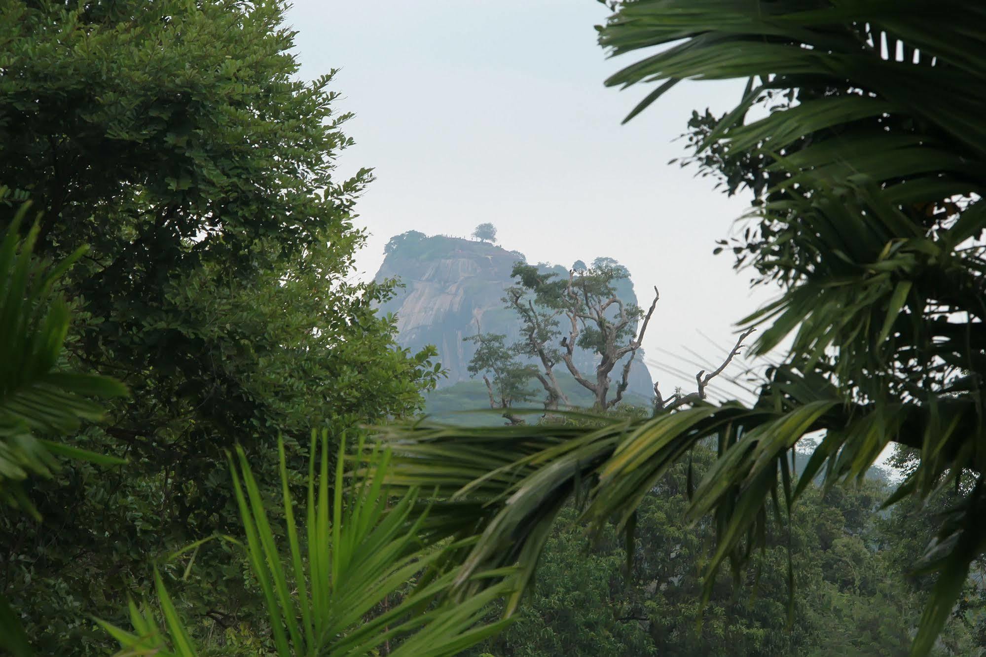 Sigiriya Wewa Addara Hotel - Hotel By The Lake Buitenkant foto